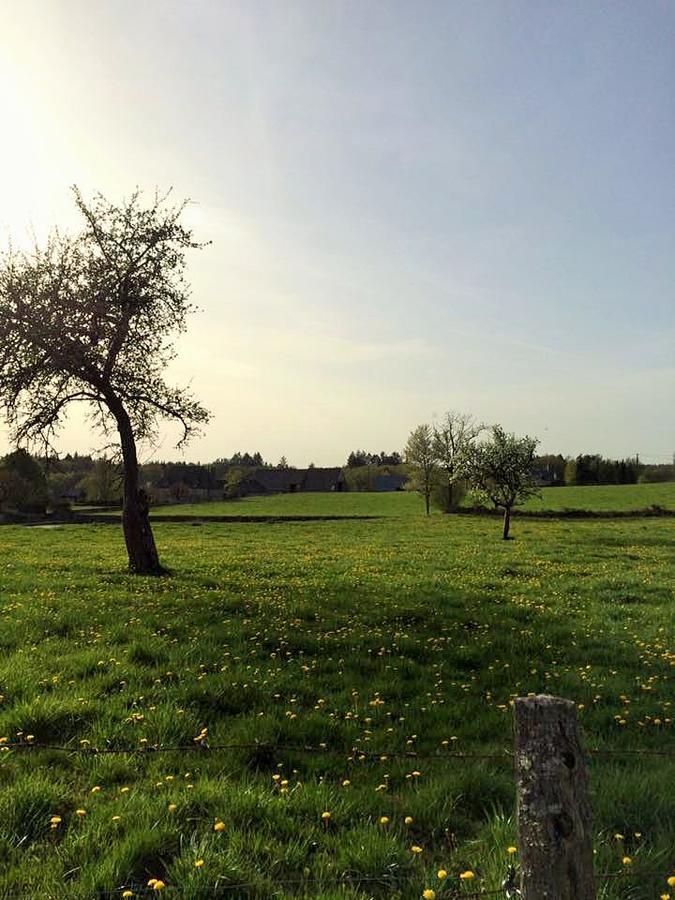 Auberge De Saint Julien Aux Bois Εξωτερικό φωτογραφία